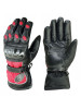 Motorbike Gloves